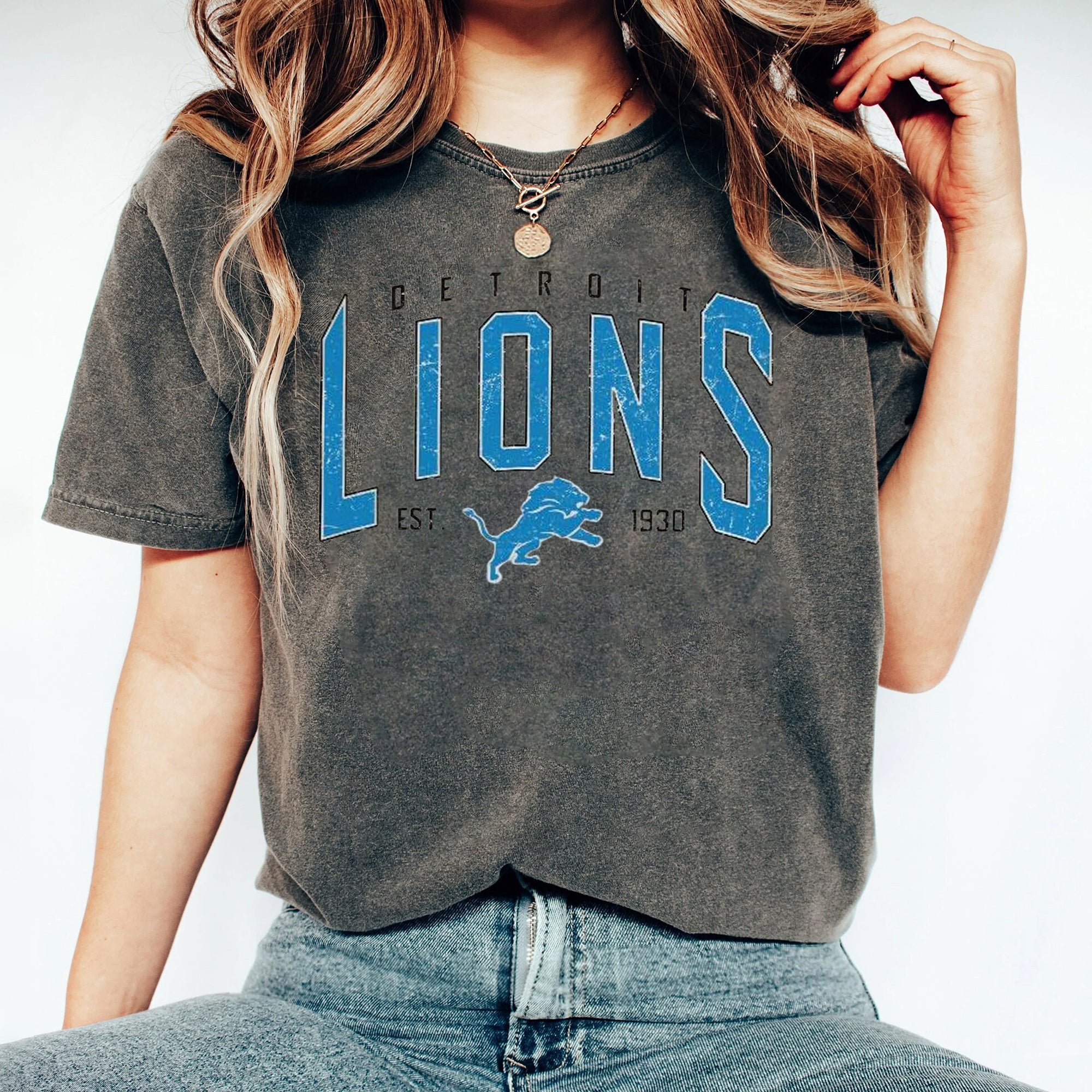 Vintage Detroit Lions shirt, Lions sweatshirt, Detroit Football Fan shirt, Lions tee, Lions t-shirt, Game Day clothing CCC