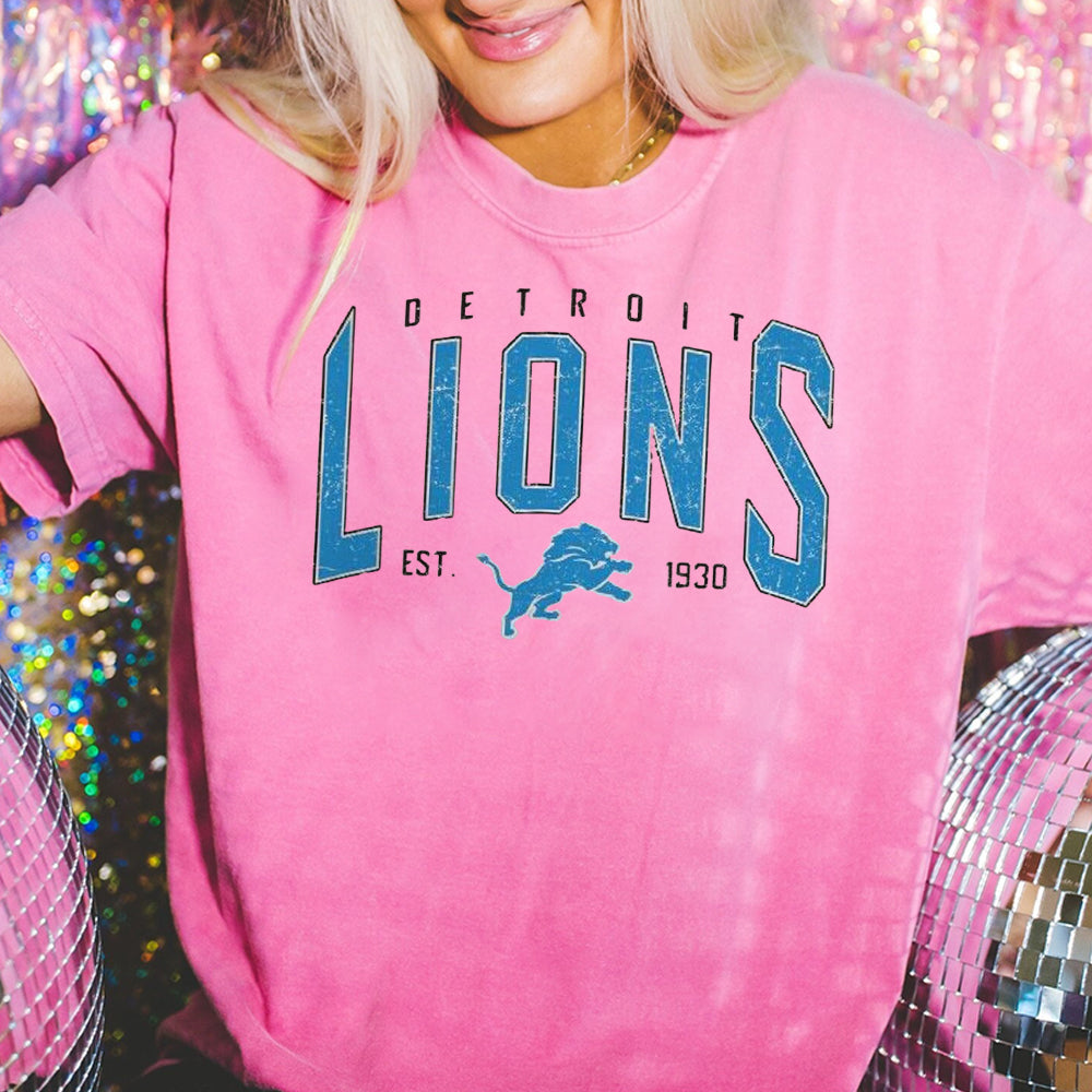 Vintage Detroit Lions shirt, Lions sweatshirt, Detroit Football Fan shirt, Lions tee, Lions t-shirt, Game Day clothing CCC