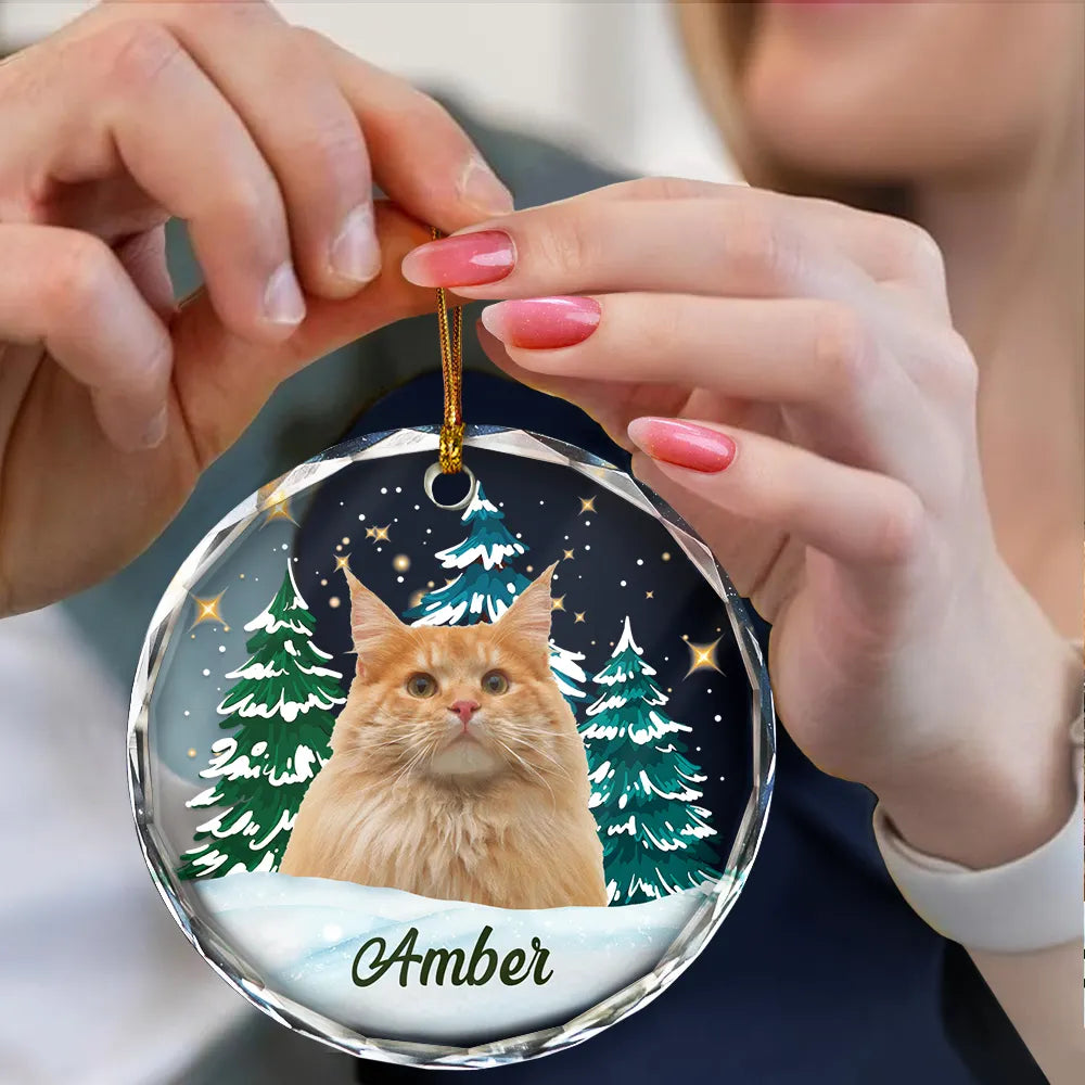 Custom Photo Pet Face Christmas Trees - Personalized Combo Circle Glass Ornament ORNA1210