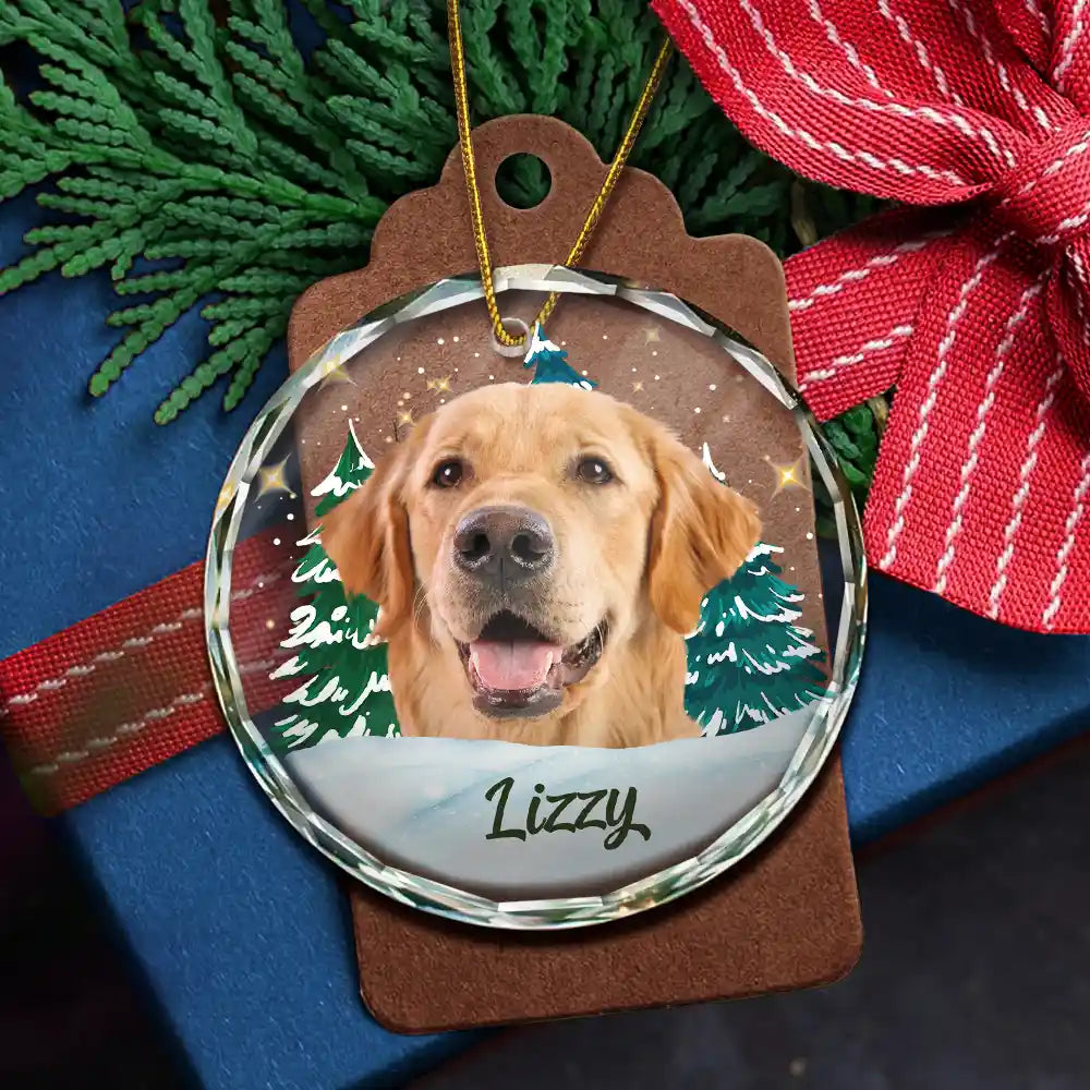 Custom Photo Pet Face Christmas Trees - Personalized Combo Circle Glass Ornament ORNA1210