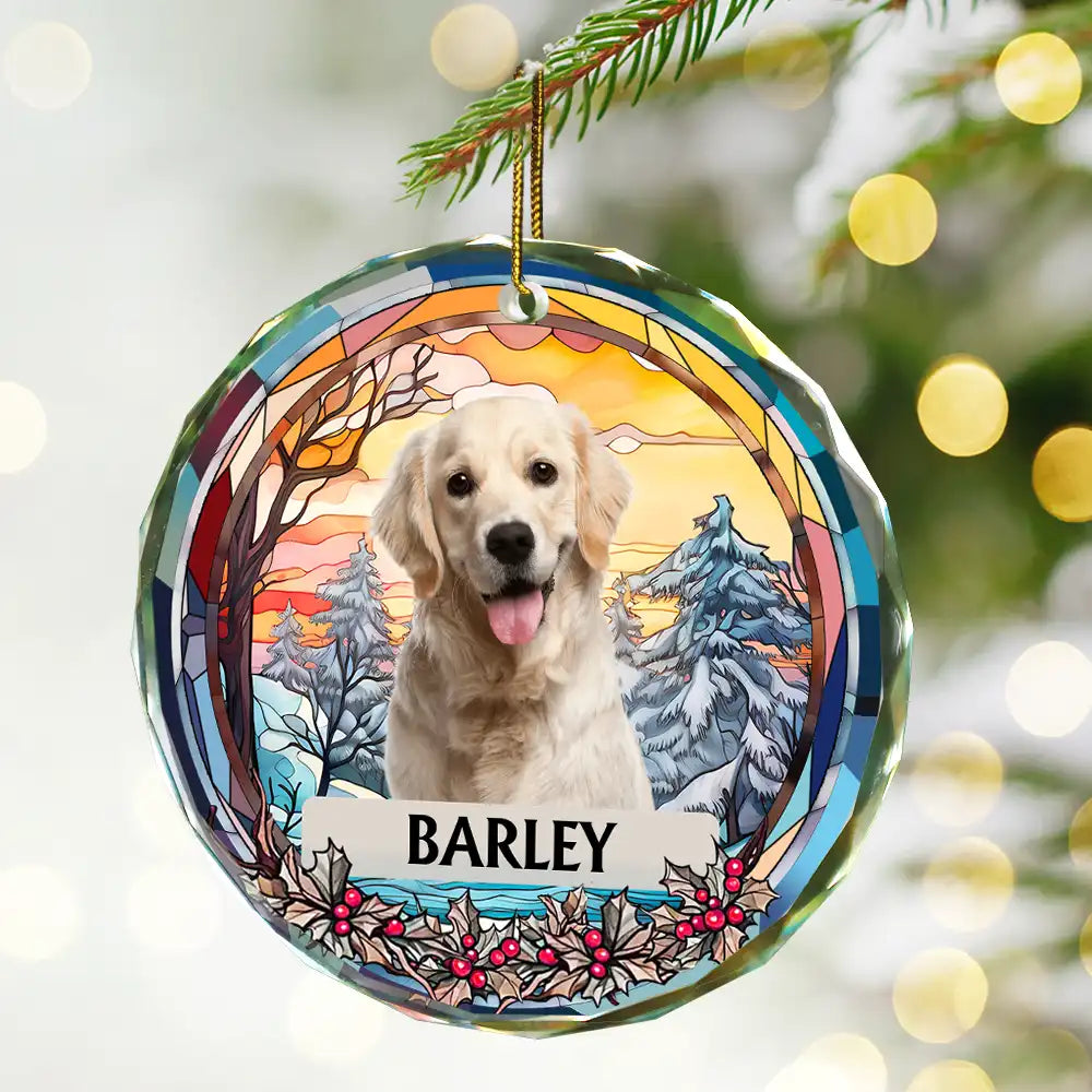 Custom Photo Christmas Memorial Family Dog Cat - Personalized Circle Glass Ornament ORNA1210