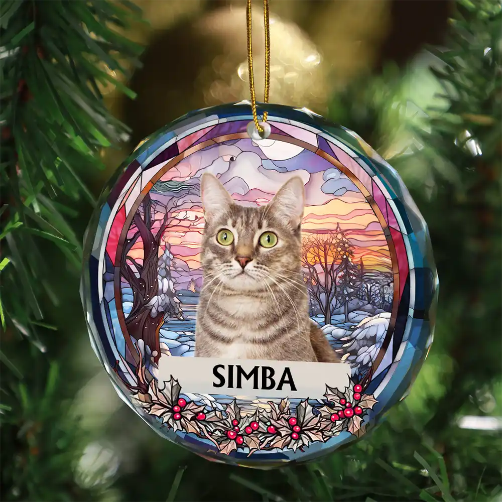 Custom Photo Christmas Memorial Family Dog Cat - Personalized Circle Glass Ornament ORNA1210