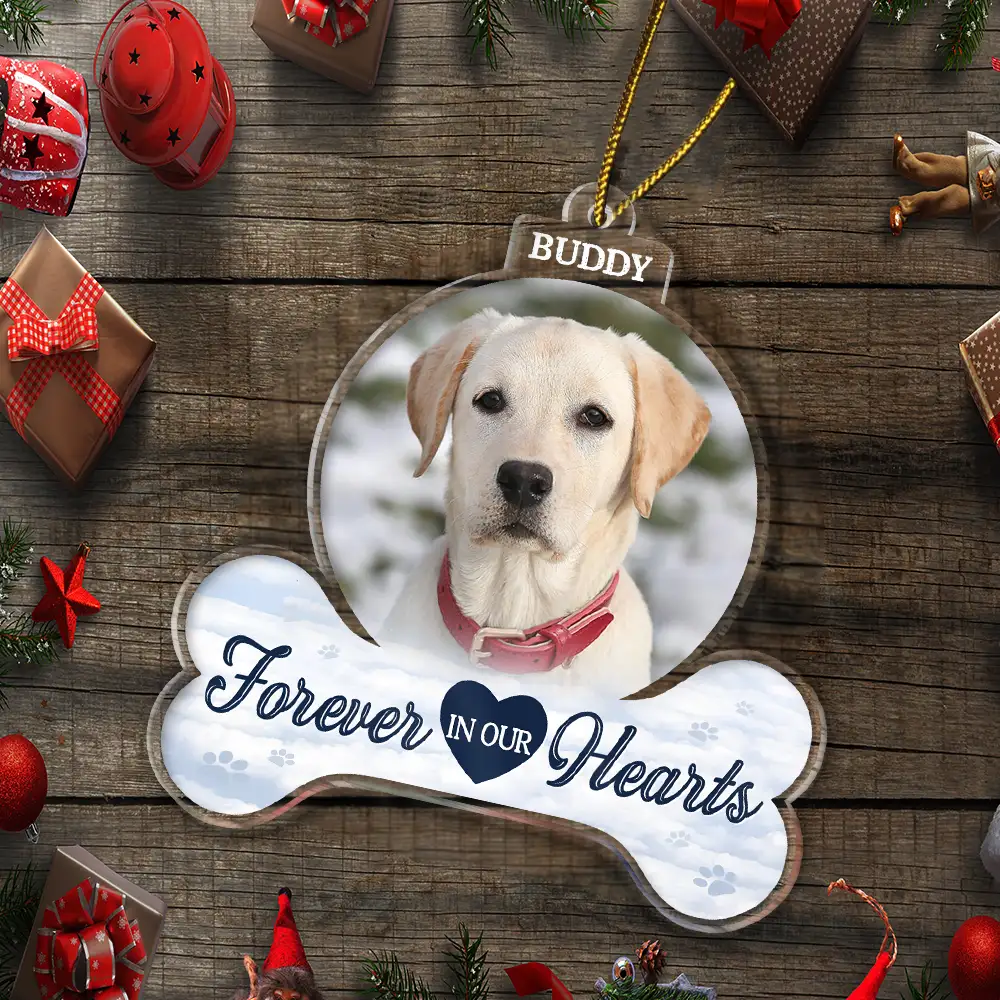 Custom Photo Forever In Our Hearts - Personalized Custom Shaped Acrylic Ornament ORNA1210