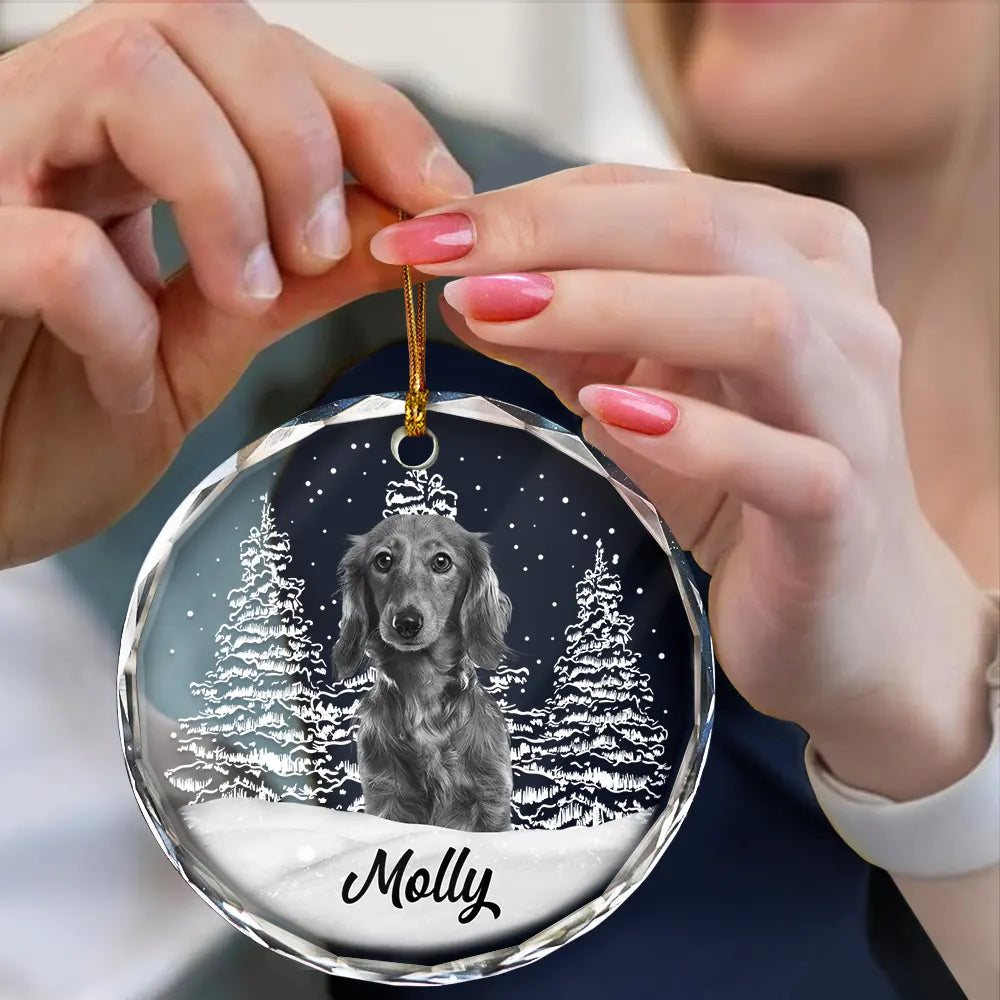 Custom Photo Grayscale Dog Face Pet Memorial - Personalized Circle Glass Ornament ORNA1210