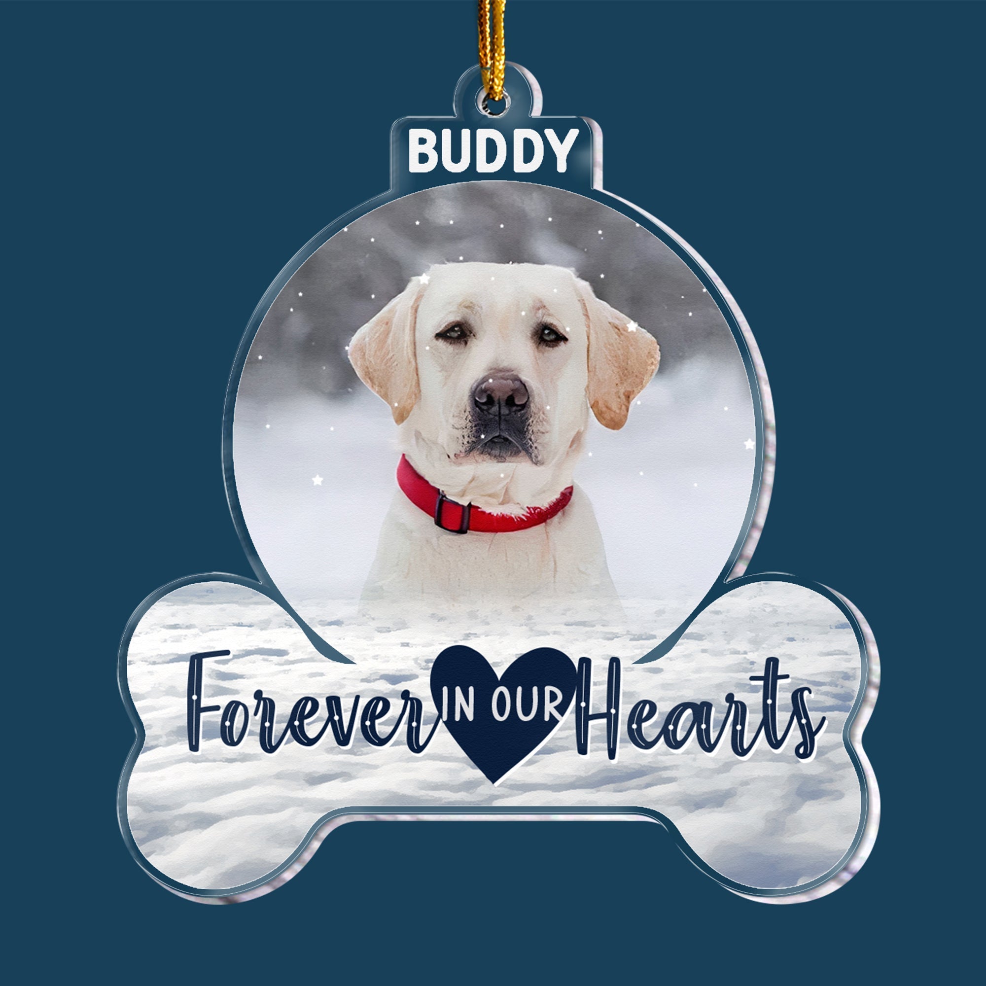 Forever In My Heart - Personalized Pet Memorial Photo Ornament ORN0810