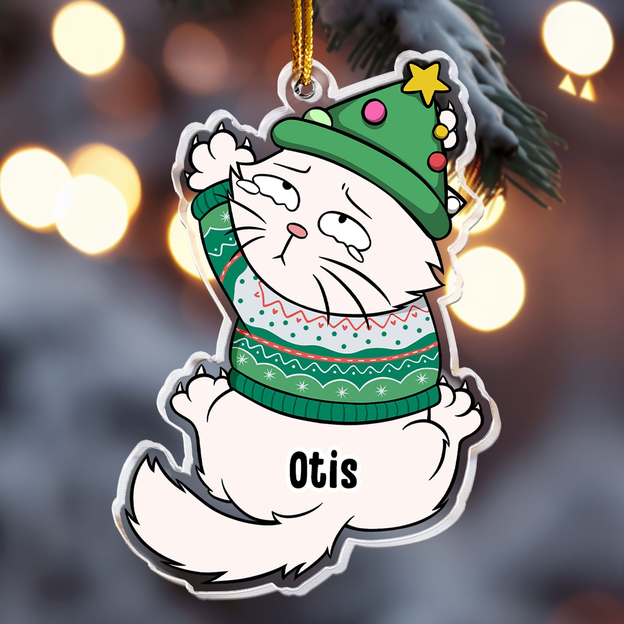 Funny Cat - Personalized Acrylic Ornament ORN0810