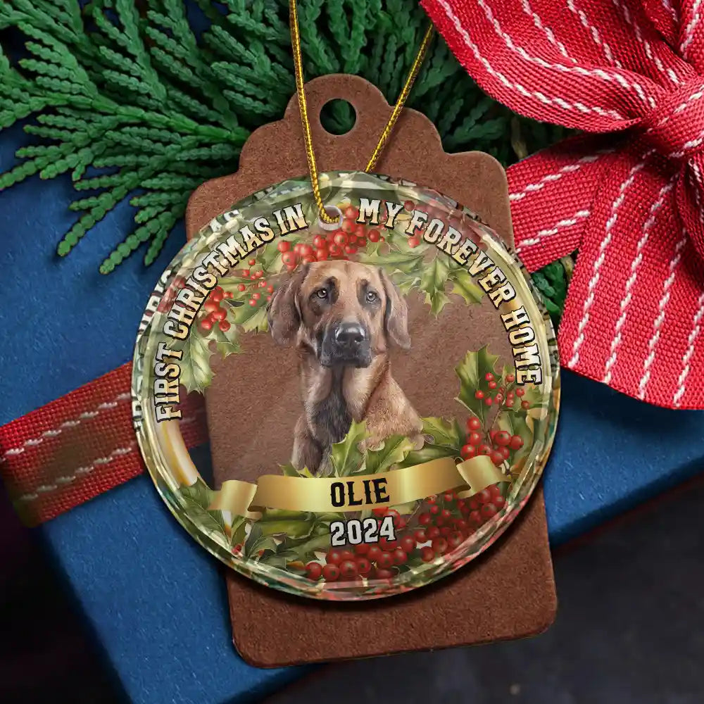 Custom Photo In My Forever Home - Personalized Circle Glass Ornament ORNA1210