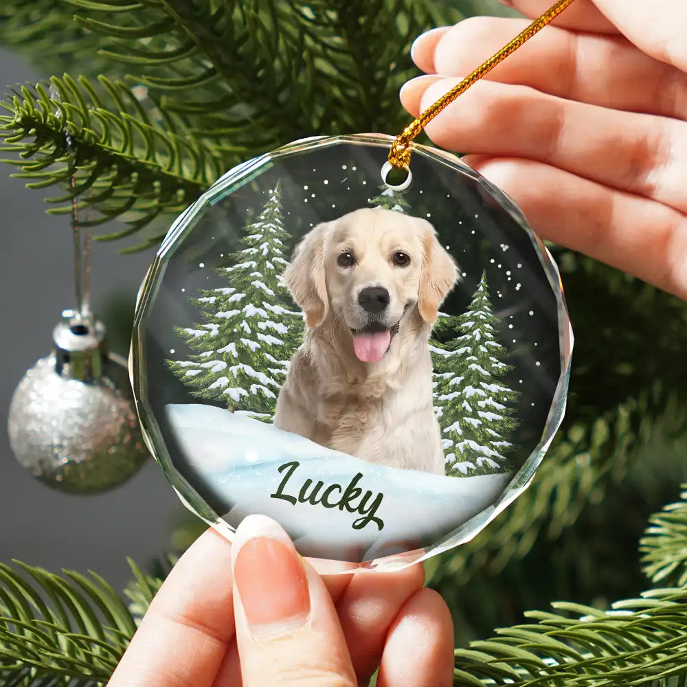 Custom Photo Pet Face - Christmas Gift For Dog Lovers, Cat Lovers, Pet Lovers, Pet Memorial - Personalized Circle Glass Ornament ORNA1210