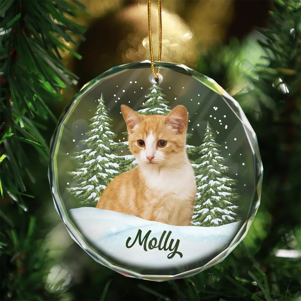 Custom Photo Pet Face - Christmas Gift For Dog Lovers, Cat Lovers, Pet Lovers, Pet Memorial - Personalized Circle Glass Ornament ORNA1210
