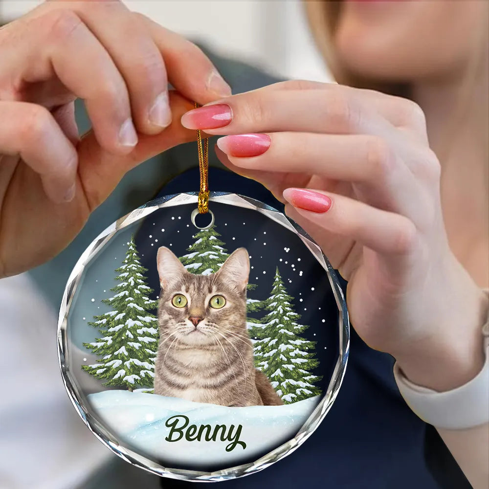Custom Photo Pet Face - Christmas Gift For Dog Lovers, Cat Lovers, Pet Lovers, Pet Memorial - Personalized Circle Glass Ornament ORNA1210