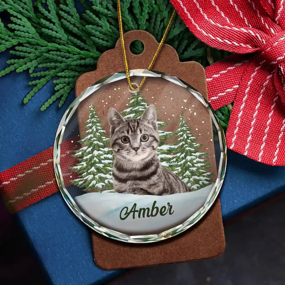 Custom Photo Pet Face - Christmas Gift For Dog Lovers, Cat Lovers, Pet Lovers, Pet Memorial - Personalized Circle Glass Ornament ORNA1210