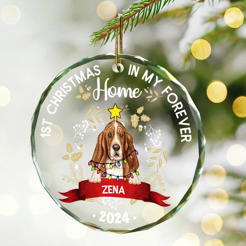 1st Christmas In My Forever Home - Personalized Circle Glass Ornament ORNA1210