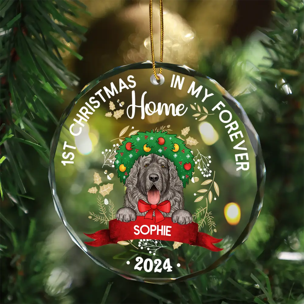 1st Christmas In My Forever Home - Personalized Circle Glass Ornament ORNA1210