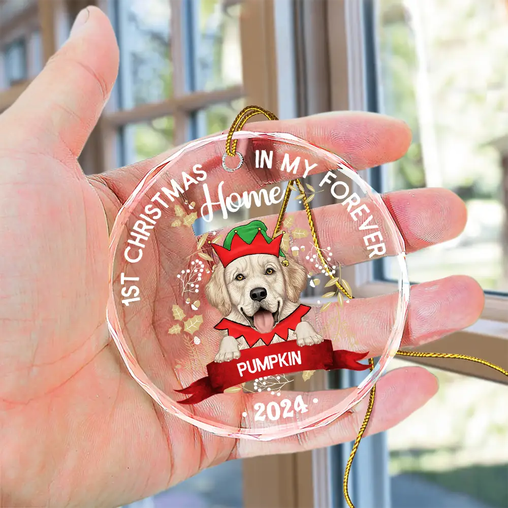 1st Christmas In My Forever Home - Personalized Circle Glass Ornament ORNA1210