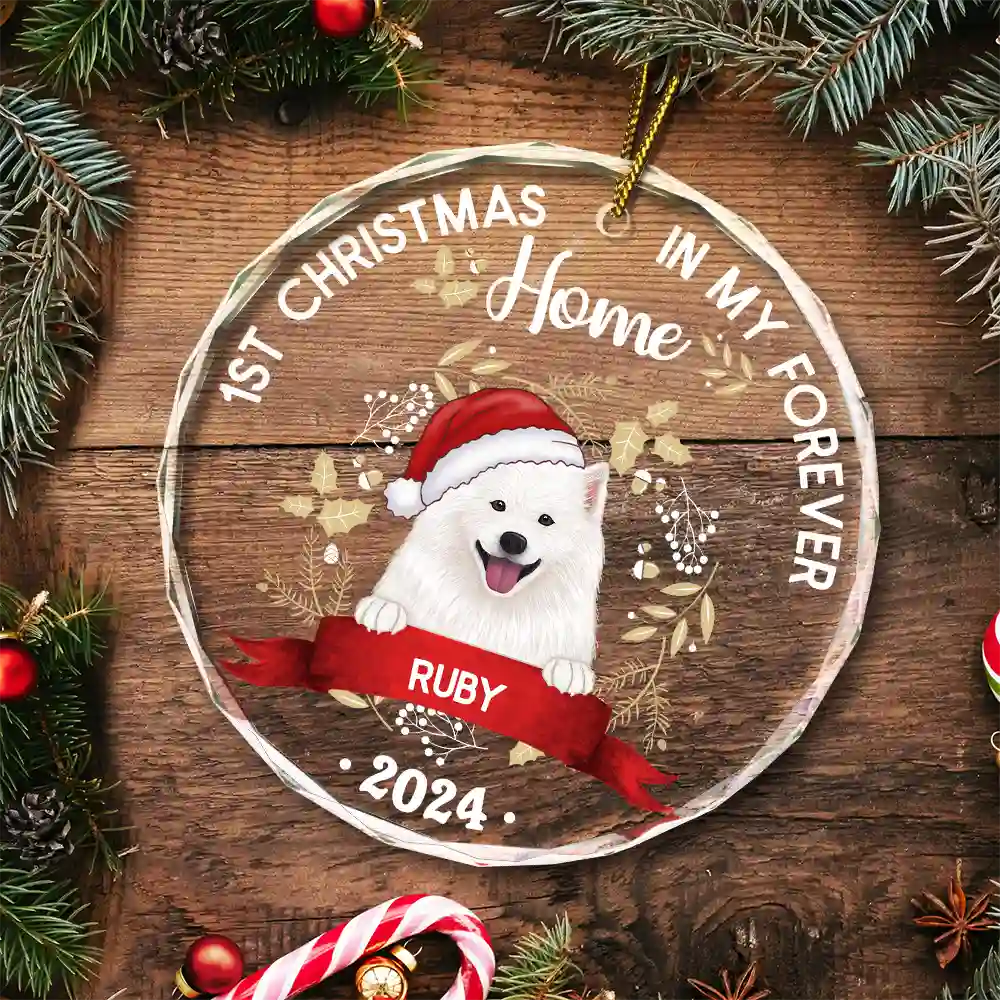 1st Christmas In My Forever Home - Personalized Circle Glass Ornament ORNA1210