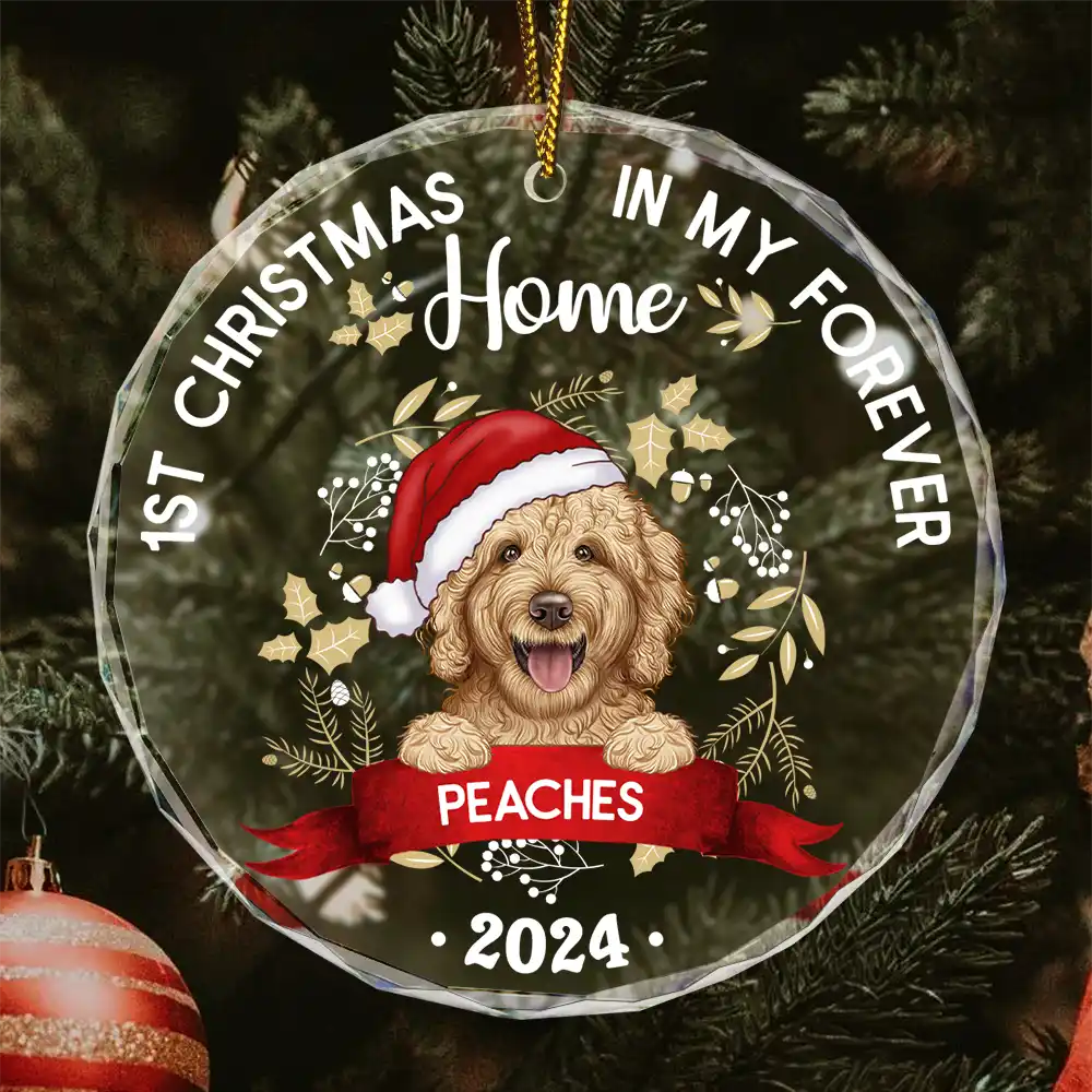 1st Christmas In My Forever Home - Personalized Circle Glass Ornament ORNA1210