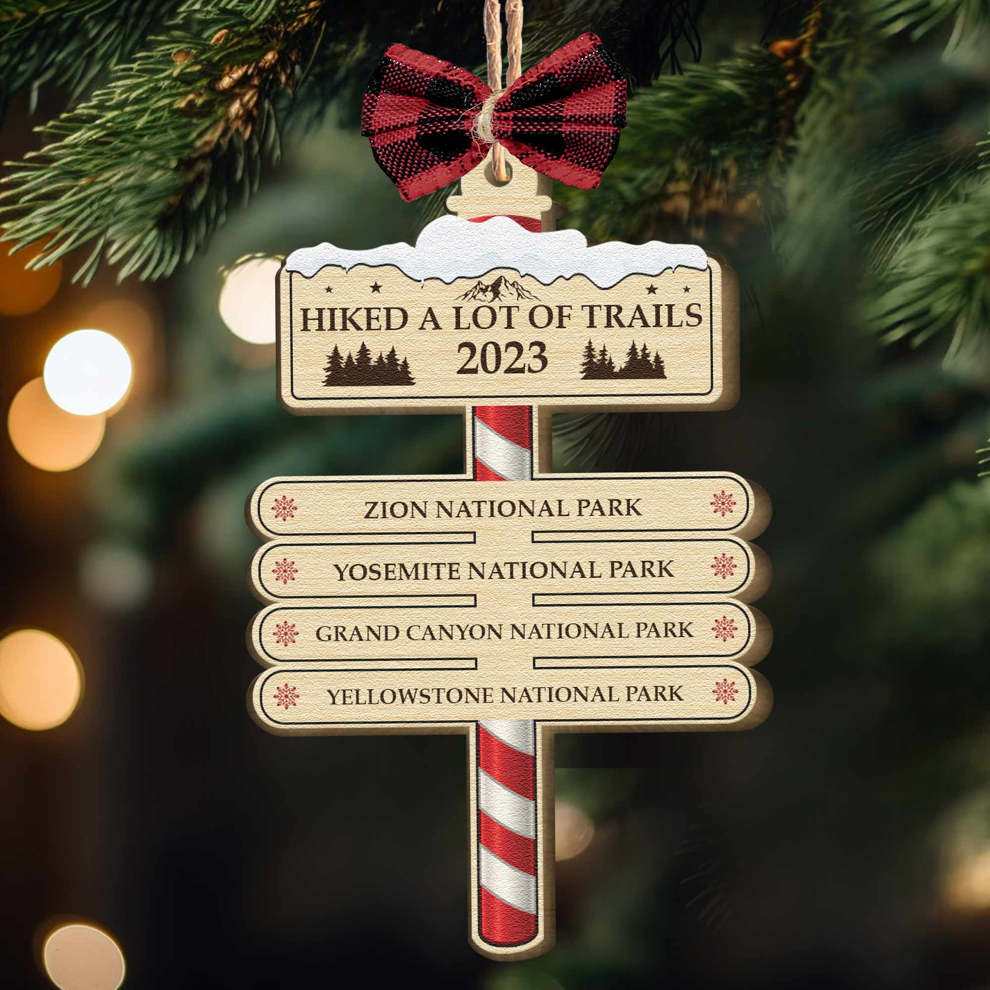 Hiked A Lot Of Trails Hiking Camping Lovers - Personalized Wooden Ornament ORN0810