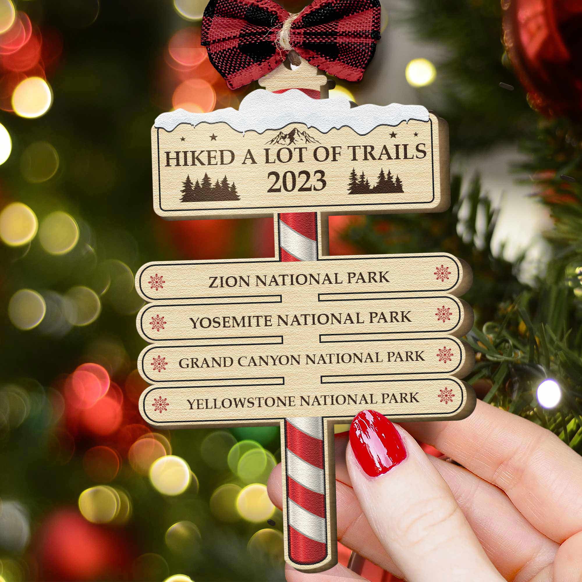 Hiked A Lot Of Trails Hiking Camping Lovers - Personalized Wooden Ornament ORN0810