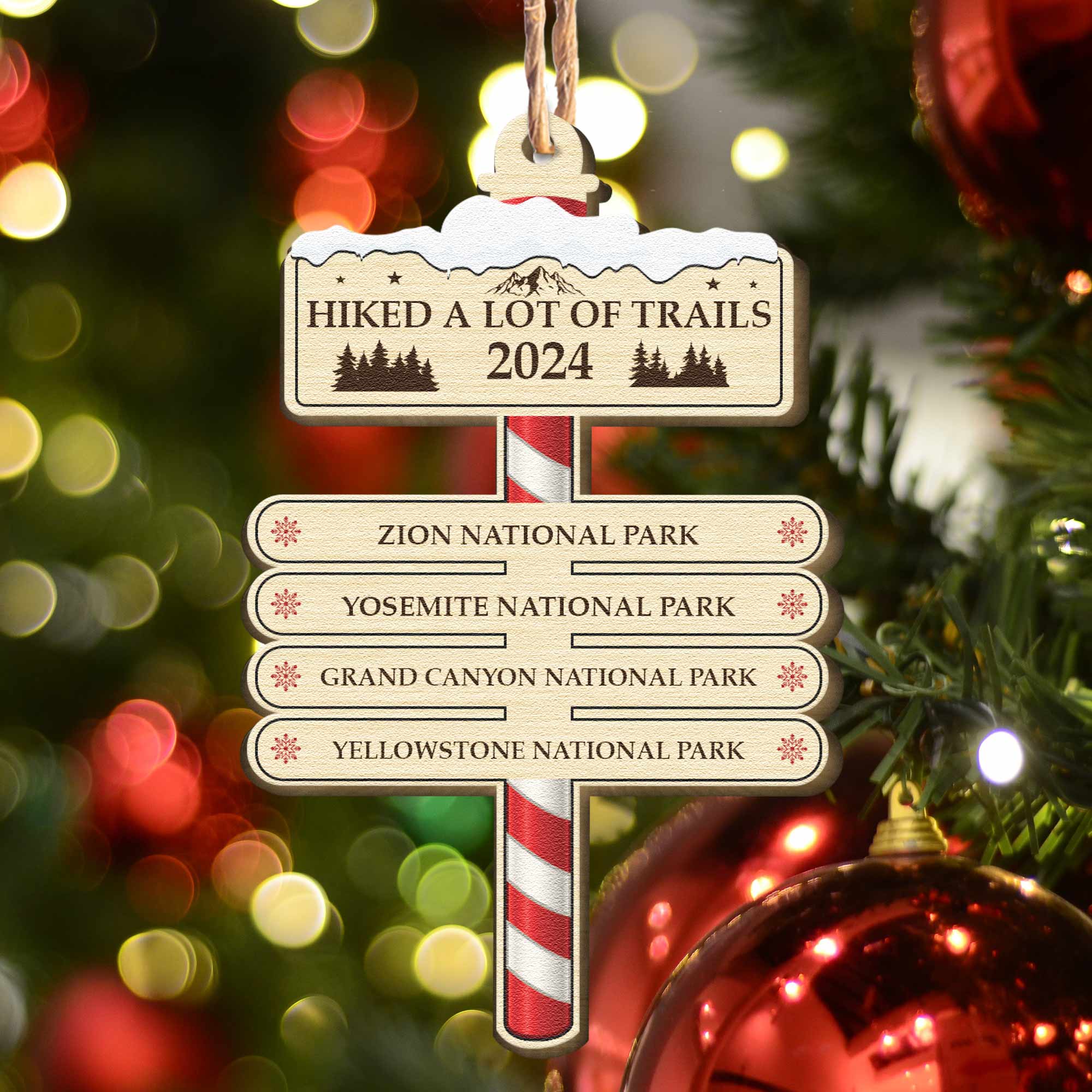 Hiked A Lot Of Trails Hiking Camping Lovers - Personalized Wooden Ornament ORN0810