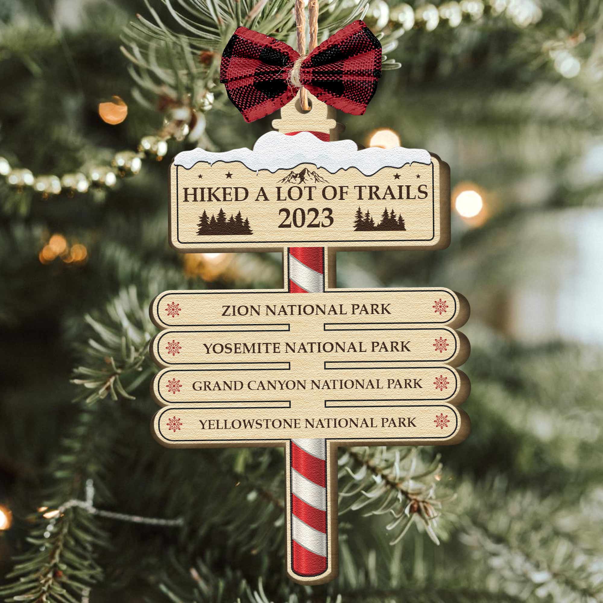 Hiked A Lot Of Trails Hiking Camping Lovers - Personalized Wooden Ornament ORN0810