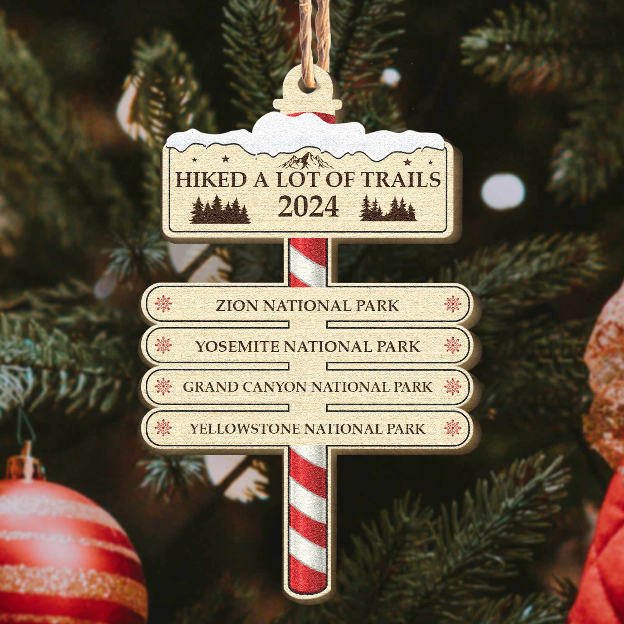 Hiked A Lot Of Trails Hiking Camping Lovers - Personalized Wooden Ornament ORNA1210