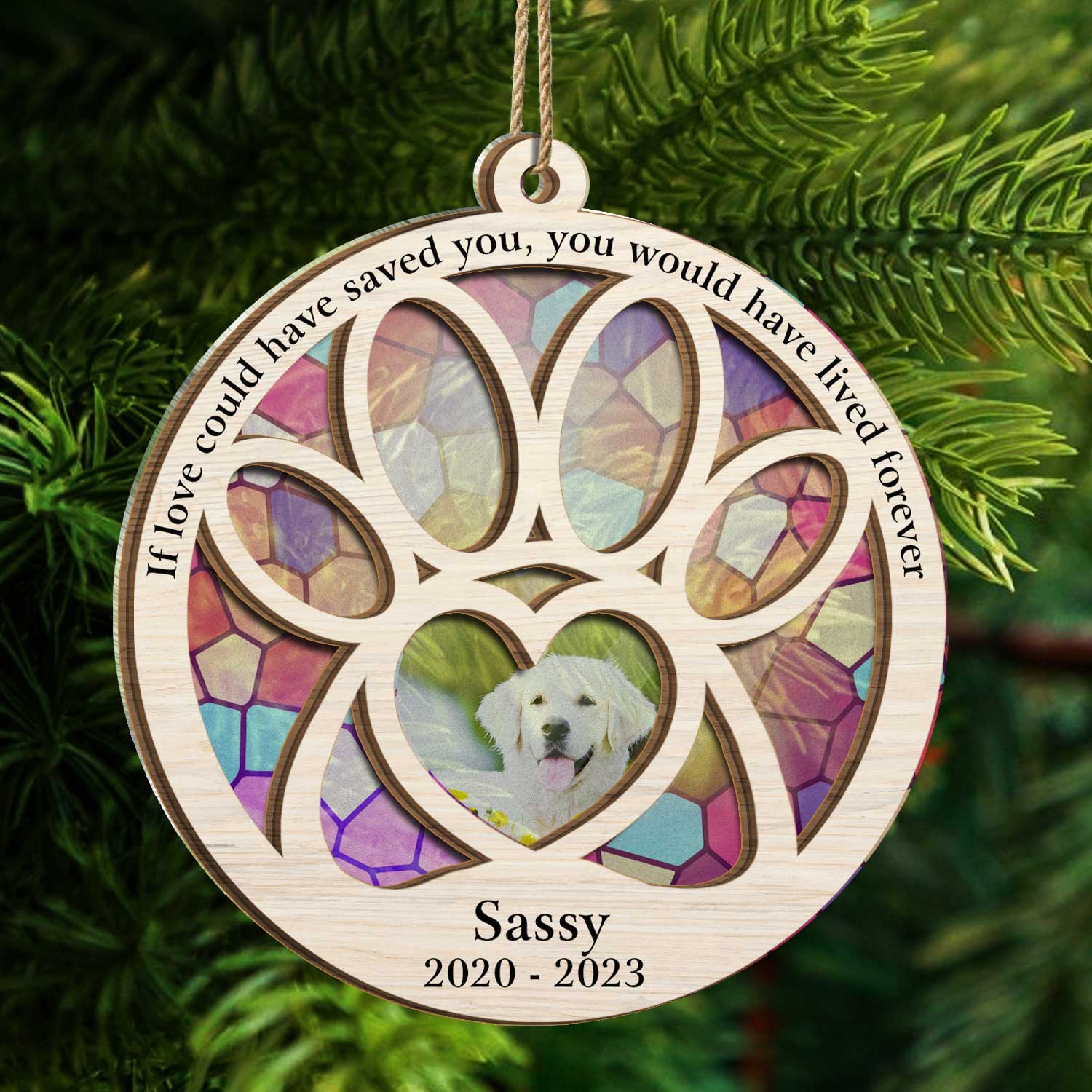 Custom Photo Dog Cat You Would Have Lived Forever - Pet Memorial Gift, Christmas Decor - Personalized Suncatcher Ornament ORNA1210