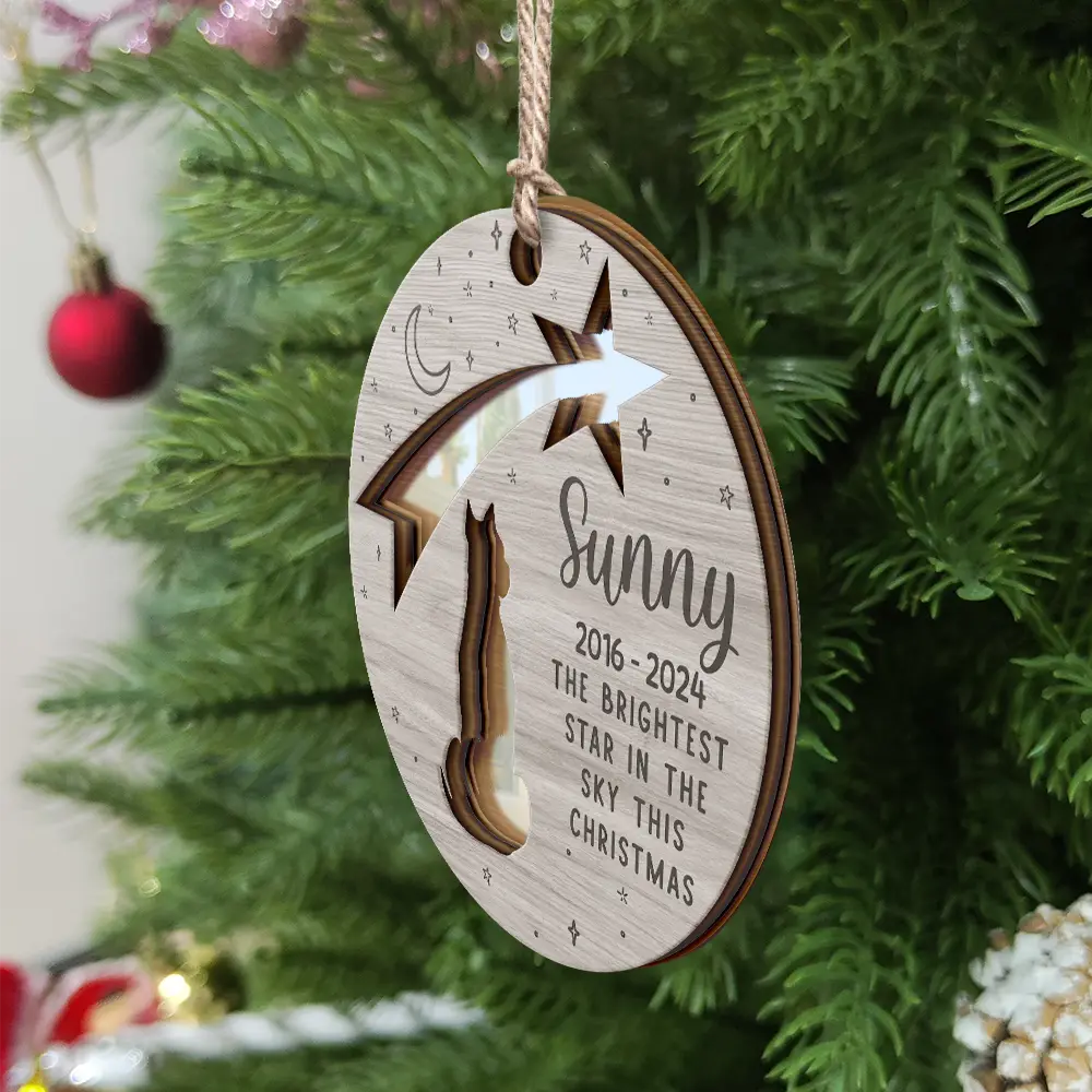 Memorial Dog The Brightest Star In The Sky This Christmas - Personalized Mirror Ornament ORNA1210