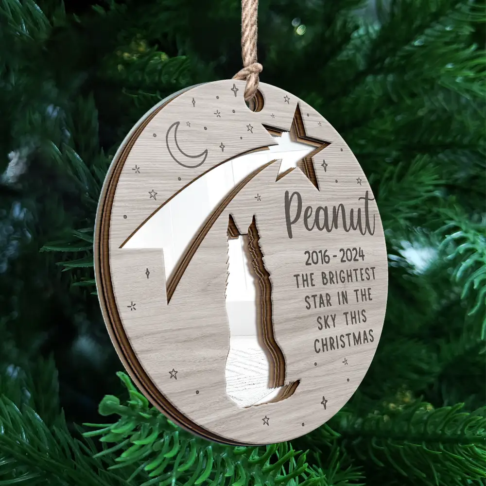 Memorial Dog The Brightest Star In The Sky This Christmas - Personalized Mirror Ornament ORNA1210