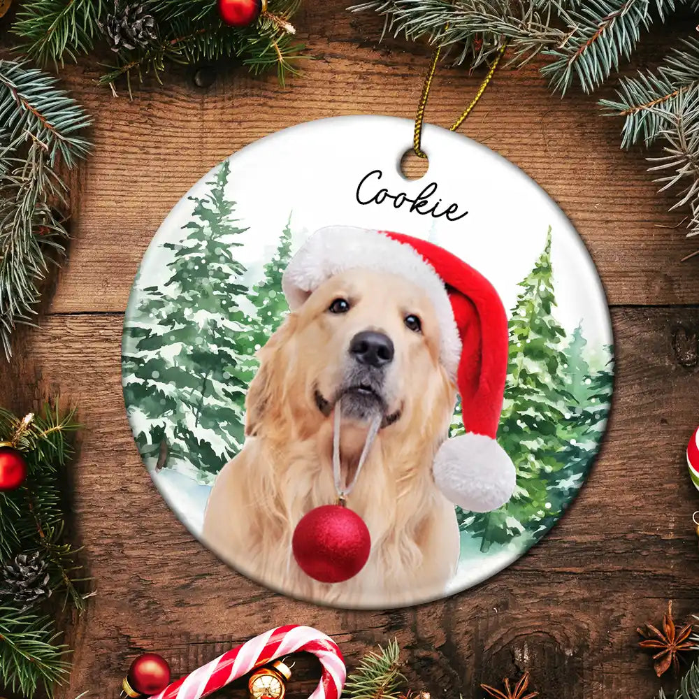 Custom Photo Dog Cat Christmas - Personalized Circle Ceramic Ornament ORNA1210