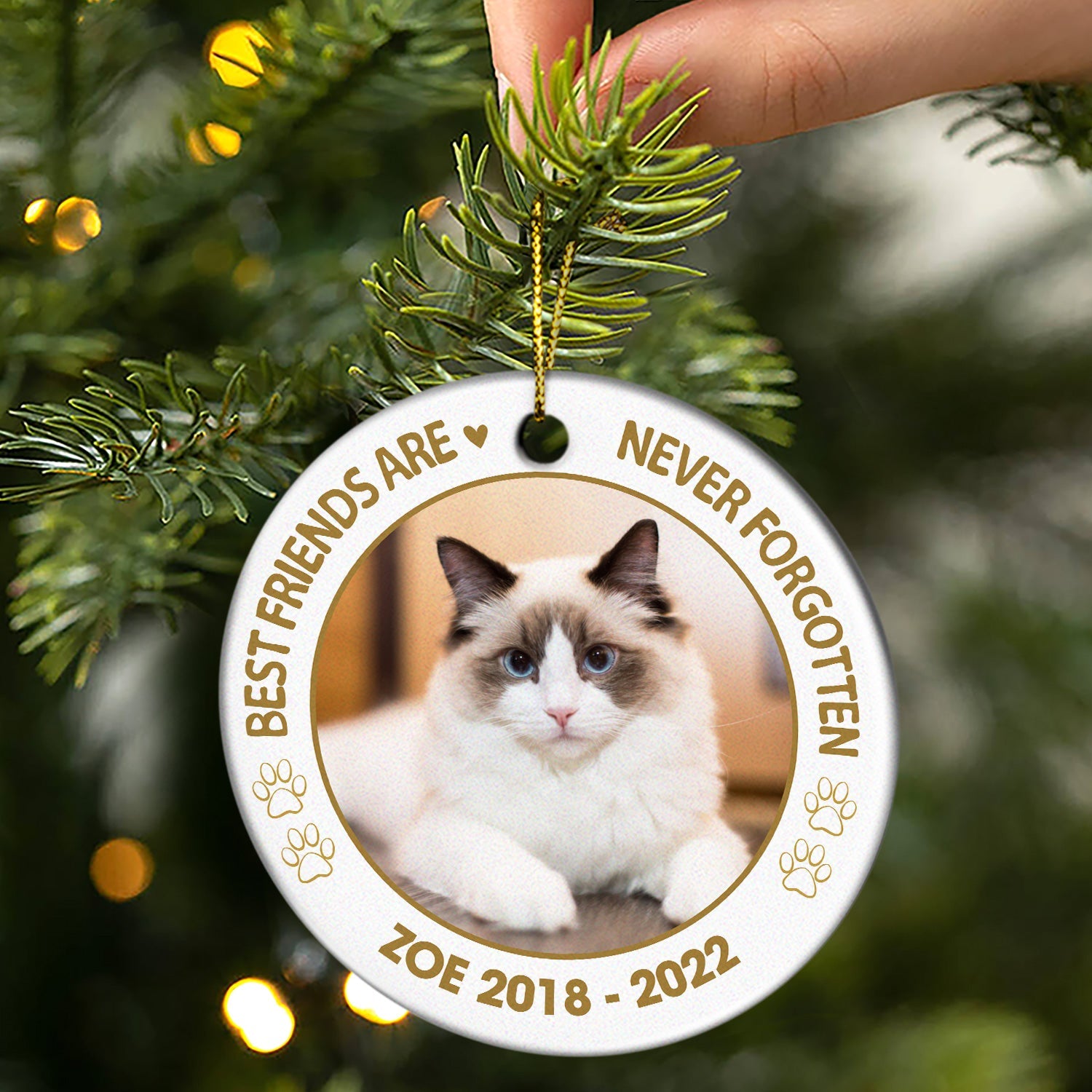 Custom Photo Dog Cat You Left Paw Prints On Our Hearts - Memorial Gift - Personalized Custom Circle Ceramic Ornament ORNA1210