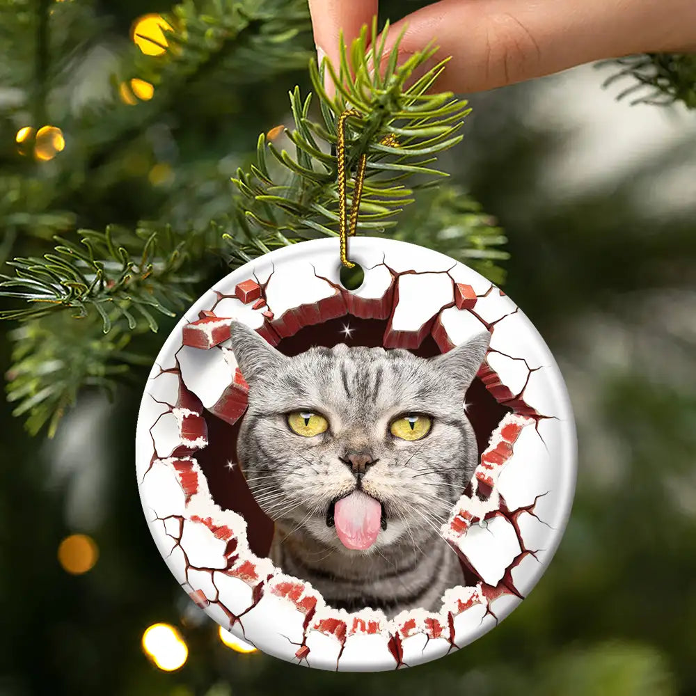 Custom Photo Dog Cat Breaking Through Ornament - Personalized Circle Ceramic Ornament ORNA1210