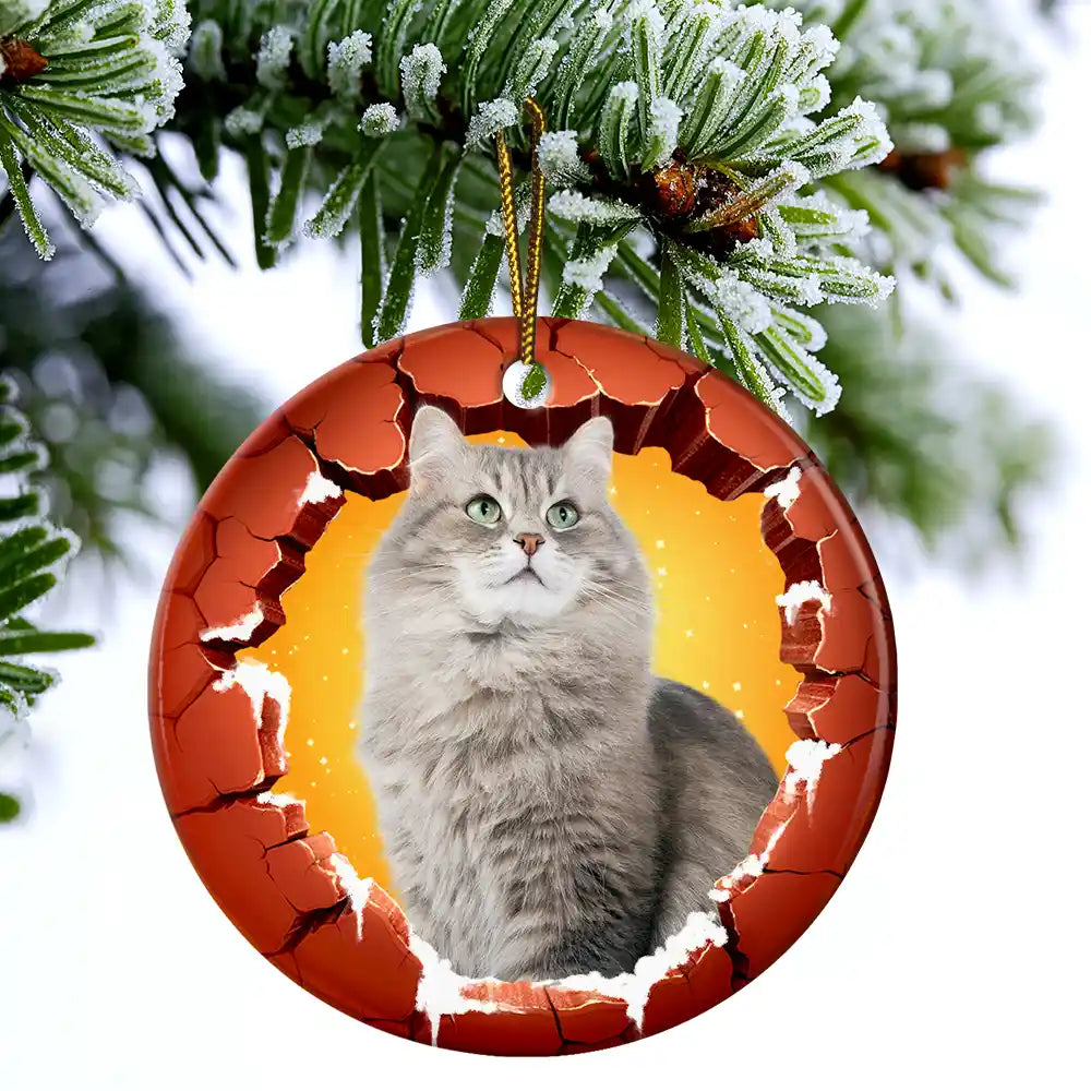 Custom Photo Dog Cat Breaking Through Ornament - Personalized Circle Ceramic Ornament ORNA1210