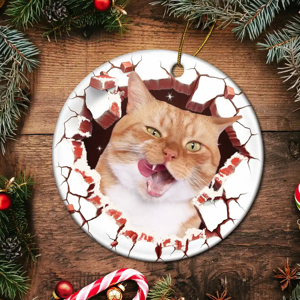 Custom Photo Dog Cat Breaking Through Ornament - Personalized Circle Ceramic Ornament ORNA1210