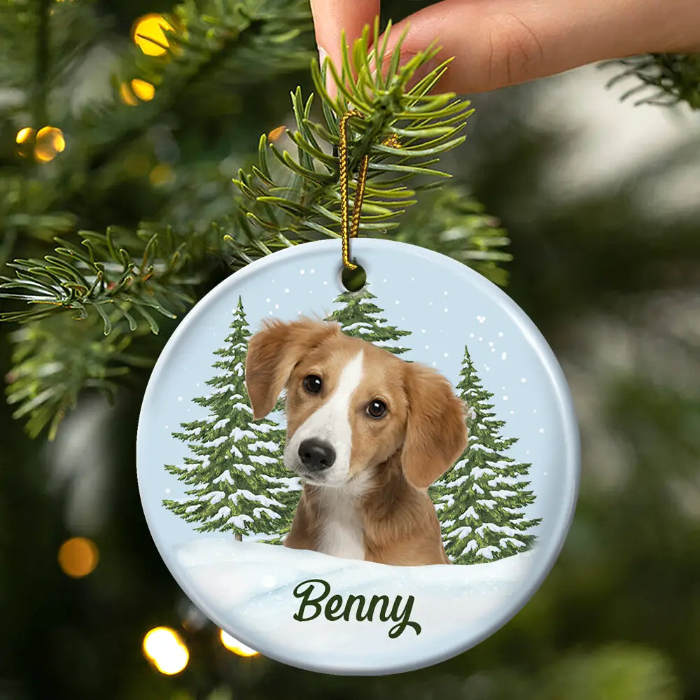 Custom Photo Pet Face Memorial - Personalized Circle Ceramic Ornament ORNA1210