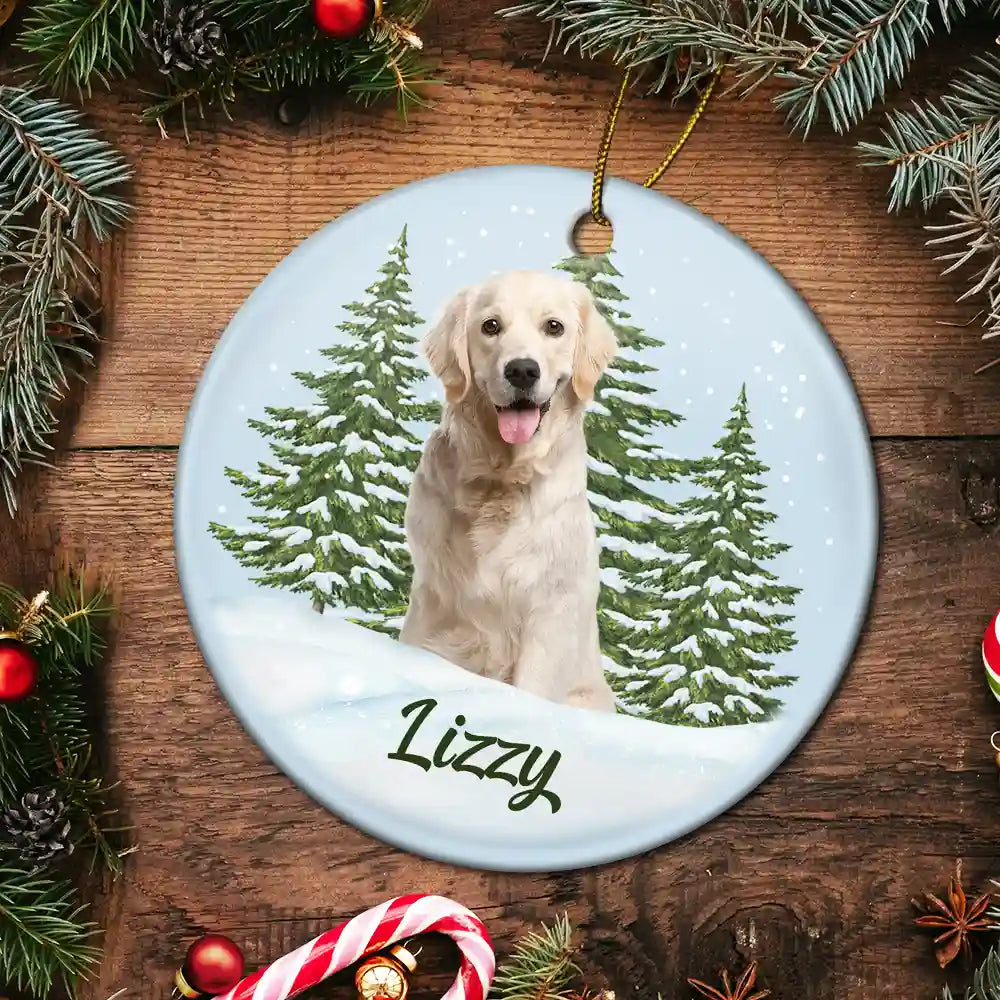 Custom Photo Pet Face Memorial - Personalized Circle Ceramic Ornament ORNA1210