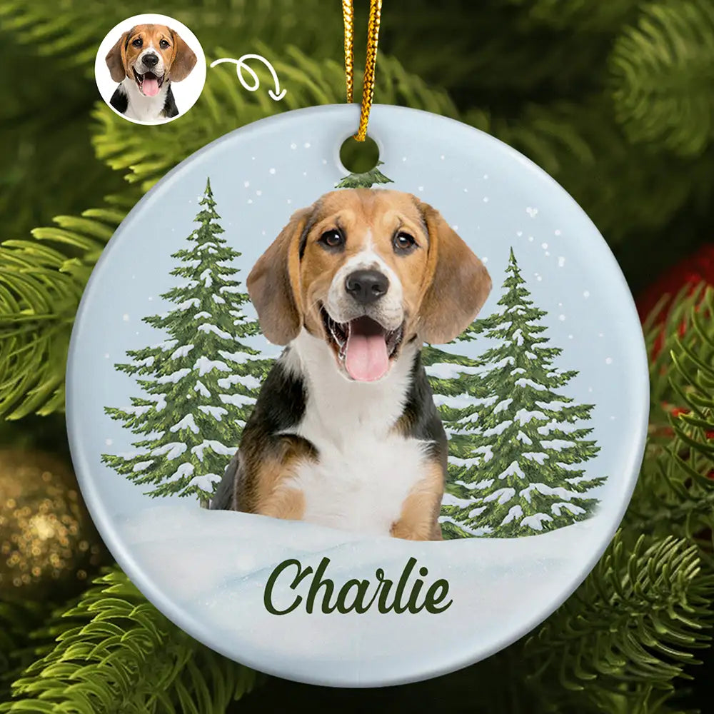 Custom Photo Pet Face Memorial - Personalized Circle Ceramic Ornament ORNA1210