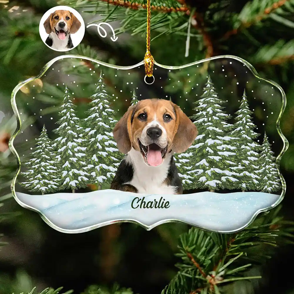 Custom Photo Pet Face Dog Cat Family - Personalized Medallion Glass Ornament ORNA1210