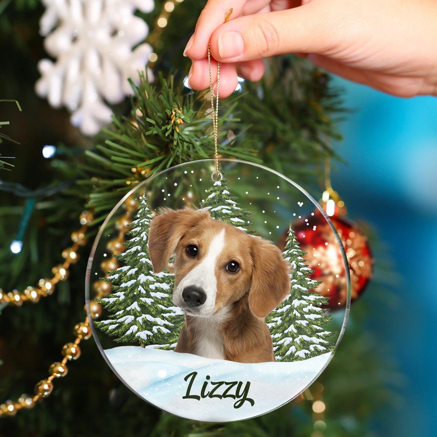 Custom Photo Pet Face - Christmas Gift For Dog Lovers, Cat Lovers, Pet Lovers, Pet Memorial - Personalized Circle Acrylic Ornament ORNA1210