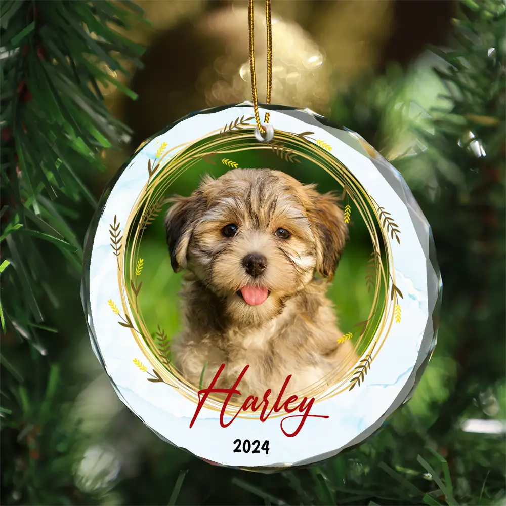 Custom Photo Christmas Pet Memorial Pet First Christmas - Personalized Circle Glass Ornament ORNA1210