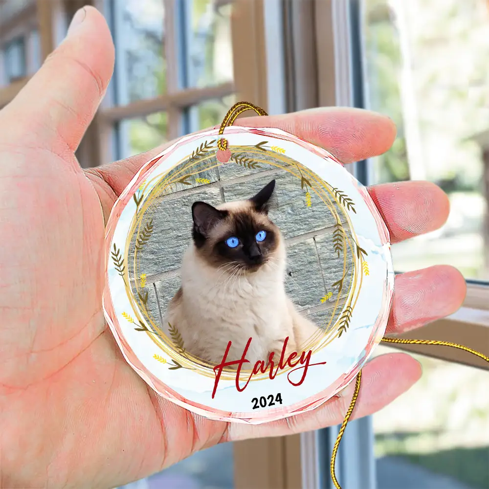 Custom Photo Christmas Pet Memorial Pet First Christmas - Personalized Circle Glass Ornament ORNA1210