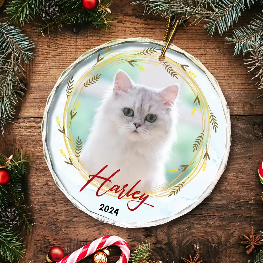 Custom Photo Christmas Pet Memorial Pet First Christmas - Personalized Circle Glass Ornament ORNA1210