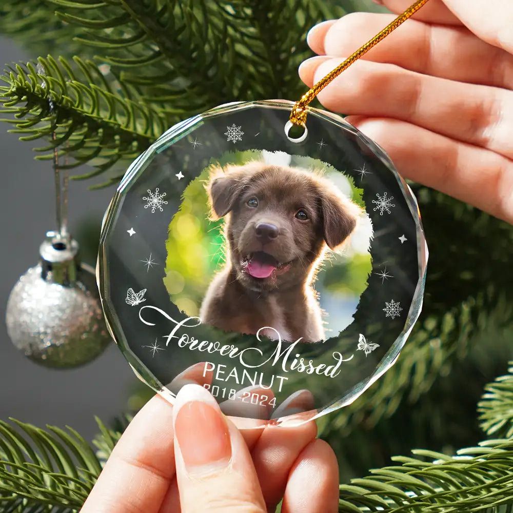 Custom Photo Memorial Dog Cat Loss Keepsake - Personalized Circle Glass Ornament ORNA1210