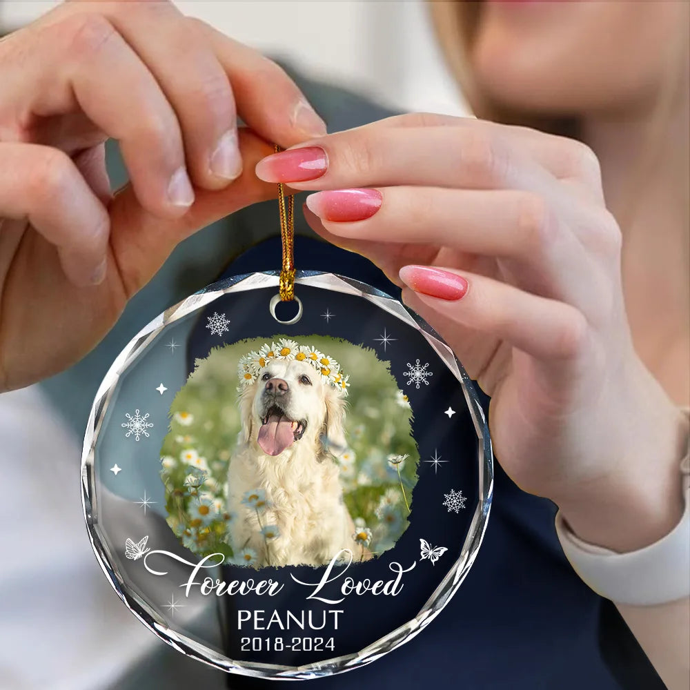 Custom Photo Memorial Dog Cat Loss Keepsake - Personalized Circle Glass Ornament ORNA1210