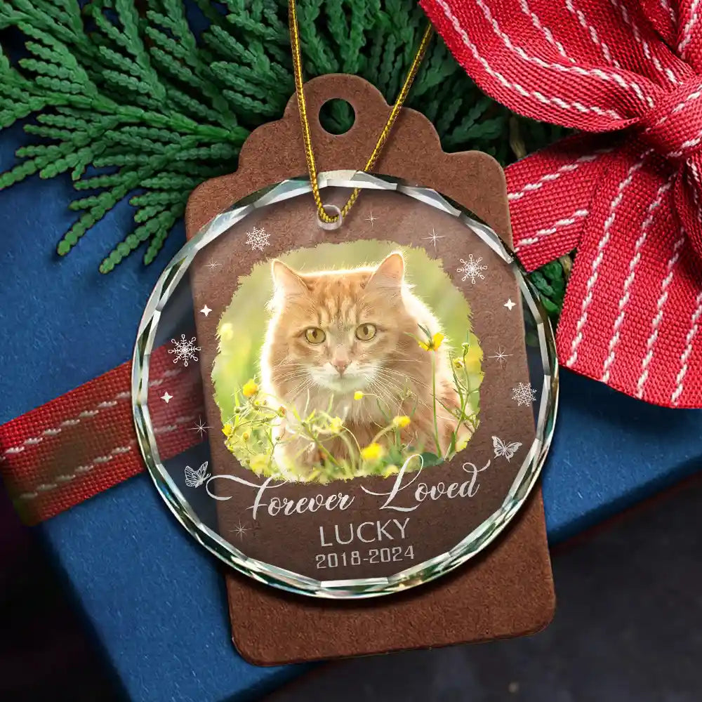 Custom Photo Memorial Dog Cat Loss Keepsake - Personalized Circle Glass Ornament ORNA1210