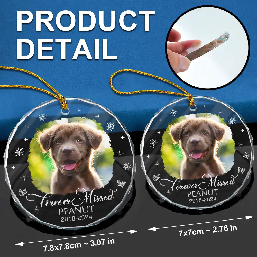 Custom Photo Memorial Dog Cat Loss Keepsake - Personalized Circle Glass Ornament ORNA1210