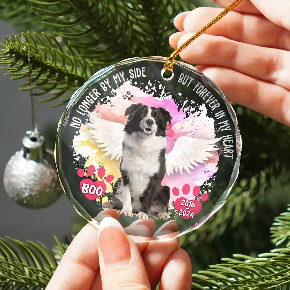 Custom Photo Memorial Dog Cat Favorite Hello & Hardest Goodbye - Personalized Circle Glass Ornament ORNA1210