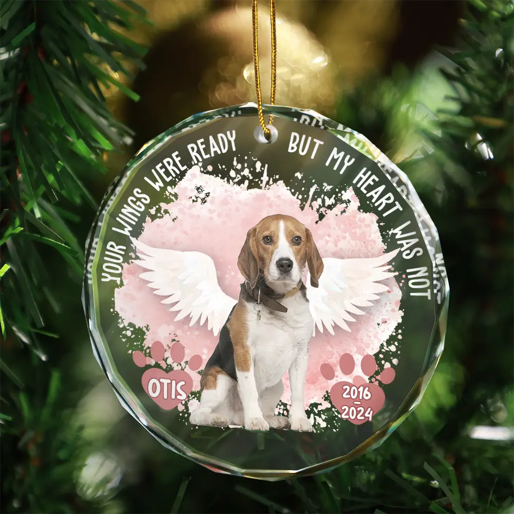 Custom Photo Memorial Dog Cat Favorite Hello & Hardest Goodbye - Personalized Circle Glass Ornament ORNA1210