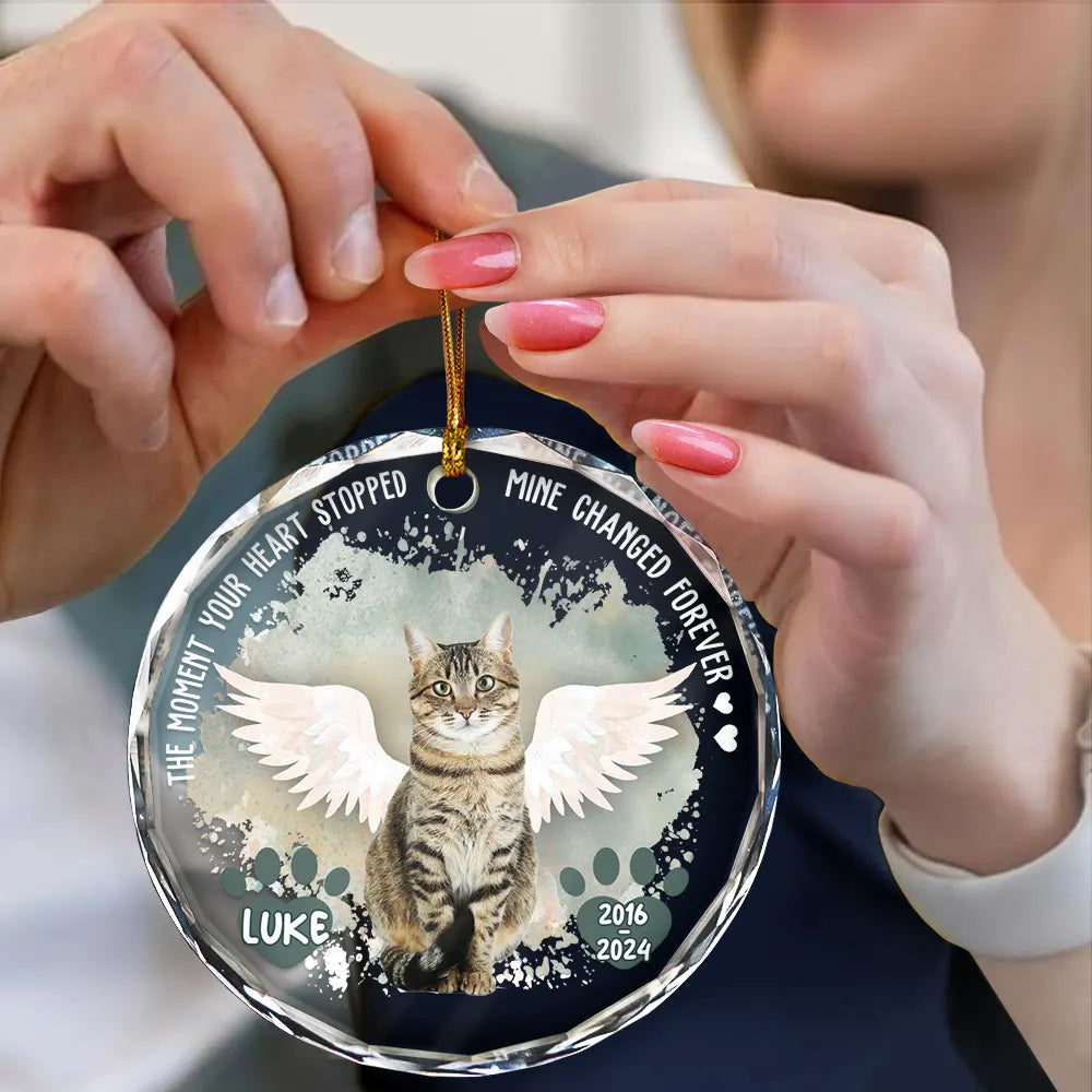 Custom Photo Memorial Dog Cat Favorite Hello & Hardest Goodbye - Personalized Circle Glass Ornament ORNA1210