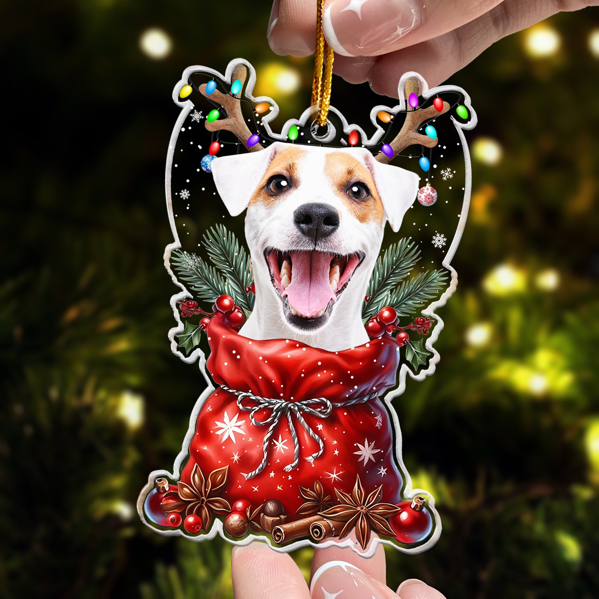 Peeking Pet Christmas - Personalized Acrylic Ornament ORN0810