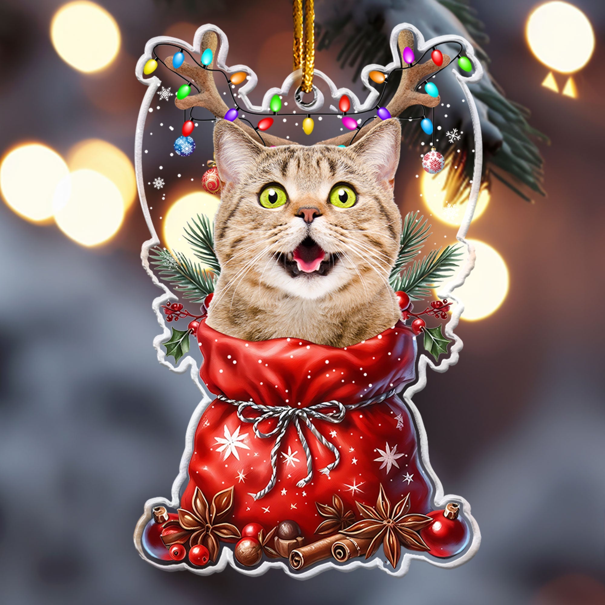 Peeking Pet Christmas - Personalized Acrylic Ornament ORN0810